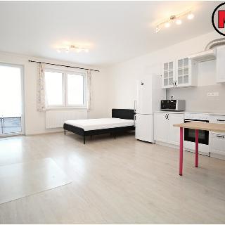 Pronájem bytu 1+kk a garsoniéry 40 m² Praha, Škrábkových