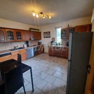 Prodej rodinného domu 160 m² Mladý Smolivec