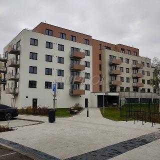 Prodej bytu 2+kk 50 m² Praha, Sedlářova