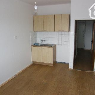 Pronájem bytu 1+kk a garsoniéry 52 m² Ostrava, Korunní