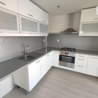 Pronájem bytu 2+kk 51 m² Ostrava, Petra Křičky