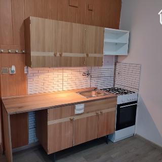 Pronájem bytu 1+1 36 m² Ostrava