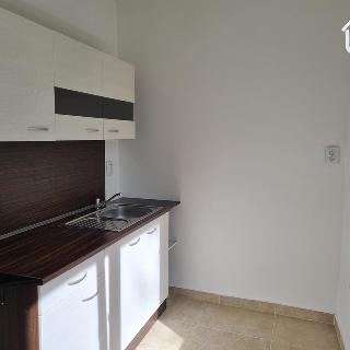 Pronájem bytu 1+1 38 m² Ostrava, Slavíkova