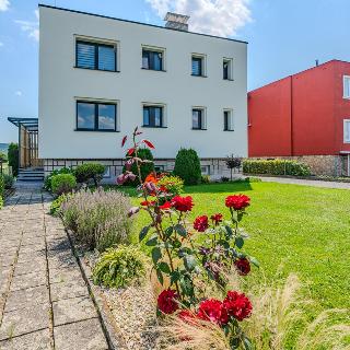 Pronájem bytu 3+1 82 m² Hranice, Hranická