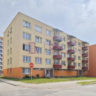 Pronájem bytu 3+1 61 m² Jindřichův Hradec, sídliště Vajgar