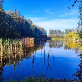 Prodej vodní plochy 11 007 m² Český Rudolec