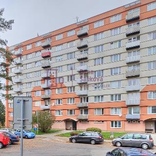 Pronájem bytu 1+1 40 m² Jindřichův Hradec, sídliště Vajgar