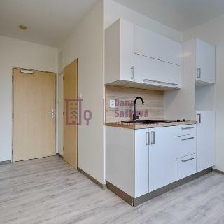 Pronájem bytu 1+kk a garsoniéry 16 m² Jindřichův Hradec, sídliště Vajgar