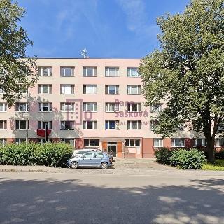 Pronájem bytu 1+kk a garsoniéry 19 m² Jindřichův Hradec, 