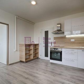 Pronájem bytu 1+1 28 m² Jindřichův Hradec, sídliště Vajgar