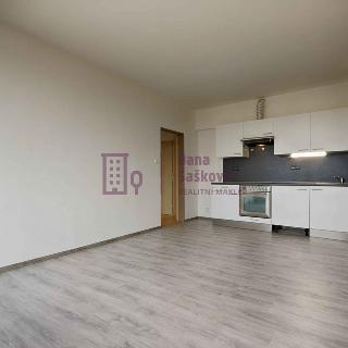 Pronájem bytu 2+kk 45 m² Jindřichův Hradec, sídliště Vajgar