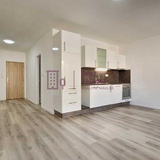 Pronájem bytu 1+kk a garsoniéry 35 m² Jindřichův Hradec, nám. Míru