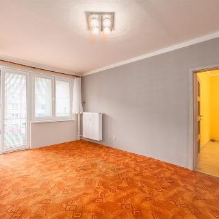 Prodej bytu 3+1 75 m² Český Krumlov, Sídliště Plešivec