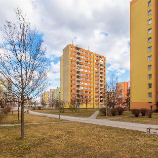 Prodej bytu 2+kk 39 m² České Budějovice, V. Volfa