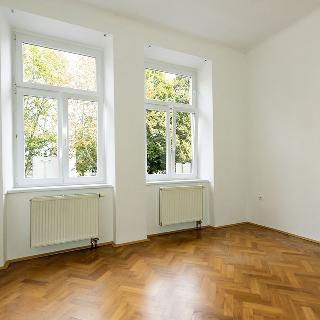 Pronájem bytu 1+1 45 m² České Budějovice, U Malše