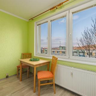 Prodej bytu 3+1 75 m² Český Krumlov, Sídliště Plešivec