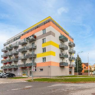 Pronájem bytu 2+kk 52 m² České Budějovice, Husova tř.