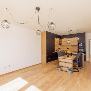 Pronájem bytu 3+kk 70 m² České Budějovice, Františka Jelena