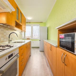 Prodej bytu 3+1 75 m² Český Krumlov, Sídliště Plešivec