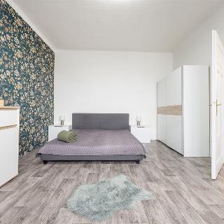 Pronájem bytu 1+1 59 m² České Budějovice, Čechova