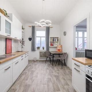 Pronájem bytu 1+1 59 m² České Budějovice, Čechova