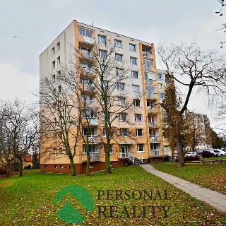 Pronájem bytu 1+1 38 m² Litoměřice, Liškova