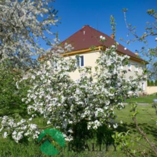 Pronájem bytu 2+1 69 m² Nové Dvory