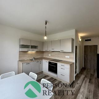 Pronájem bytu 1+1 36 m² Chomutov, Písečná