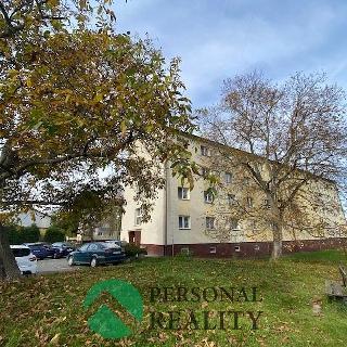 Prodej bytu 3+1 58 m² Chvaletice, Obránců míru