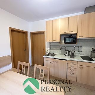 Prodej bytu 1+1 30 m&sup2; Deštné v Orlických horách