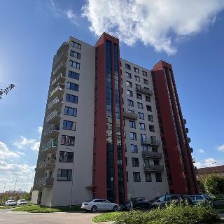 Pronájem bytu 2+kk 61 m² Pardubice, Pod Vinicí