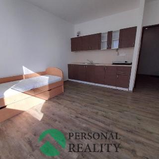 Pronájem bytu 1+kk a garsoniéry 32 m² Polepy, 