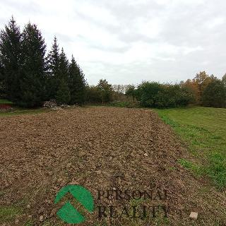 Prodej stavební parcely 10 102 m² Všesulov, 