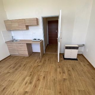 Pronájem bytu 1+kk a garsoniéry 21 m² Kladno, T. G. Masaryka