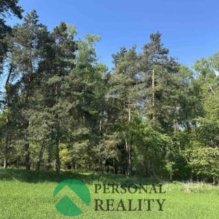 Prodej lesa 3 934 m² Krakov, 