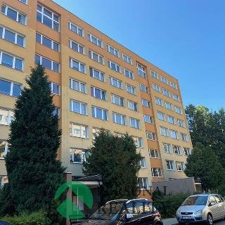 Pronájem bytu 1+kk a garsoniéry 29 m² Kolín, Rimavské Soboty