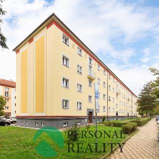 Prodej bytu 2+1 55 m² Pardubice, Jilemnického