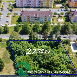 Prodej stavební parcely 2 255 m² Mariánské Lázně, Plzeňská