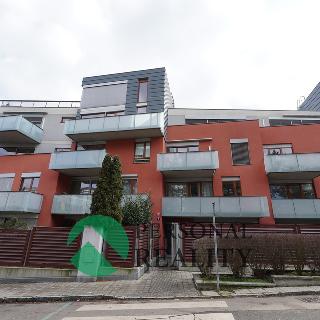 Pronájem bytu 2+kk 62 m² Praha, Kotlářka