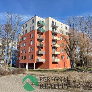 Pronájem bytu 1+kk a garsoniéry 43 m² Mělník, Za Stadionem