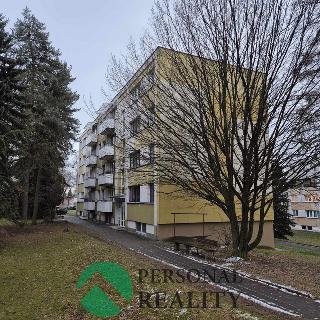 Pronájem bytu 1+kk a garsoniéry 33 m² Nové Město nad Metují, Družstevní