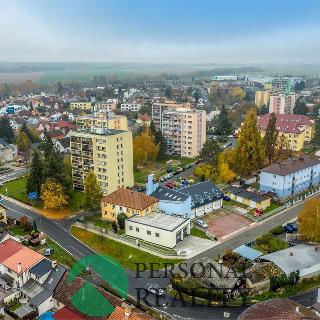 Prodej bytu 1+kk a garsoniéry 30 m² Bělá pod Bezdězem, Tyršova