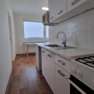 Pronájem bytu 1+1 45 m² Šumperk, Fibichova