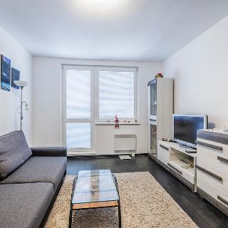 Prodej bytu 1+1 35 m² Ruda nad Moravou, Podzámecká