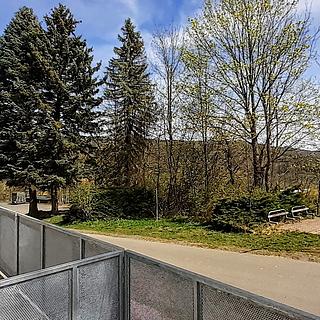 Prodej bytu 1+kk, garsoniery 55 m&sup2; Vrbno pod Pradědem