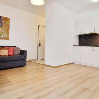 Pronájem bytu 2+kk 36 m² Mohelnice, Za Penzionem