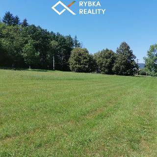 Prodej stavební parcely 4 596 m² Hostašovice, 