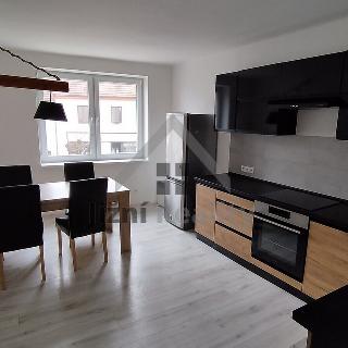 Prodej bytu 3+1 80 m² Mladá Vožice, Husovo náměstí