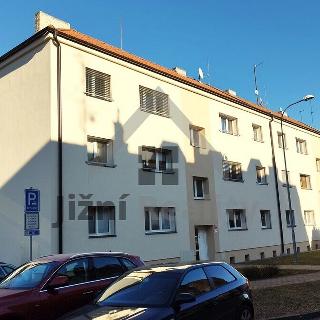 Prodej bytu 3+1 76 m² České Budějovice, Nerudova