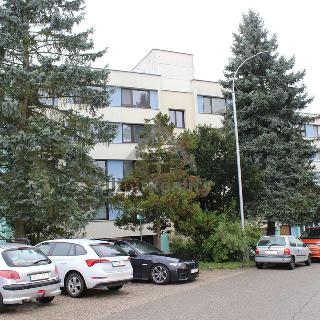 Prodej bytu 1+1 40 m² Kaplice